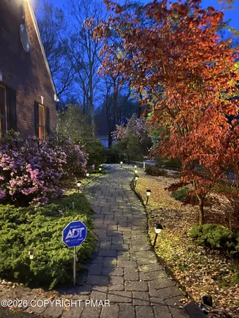 a view of yard with tree