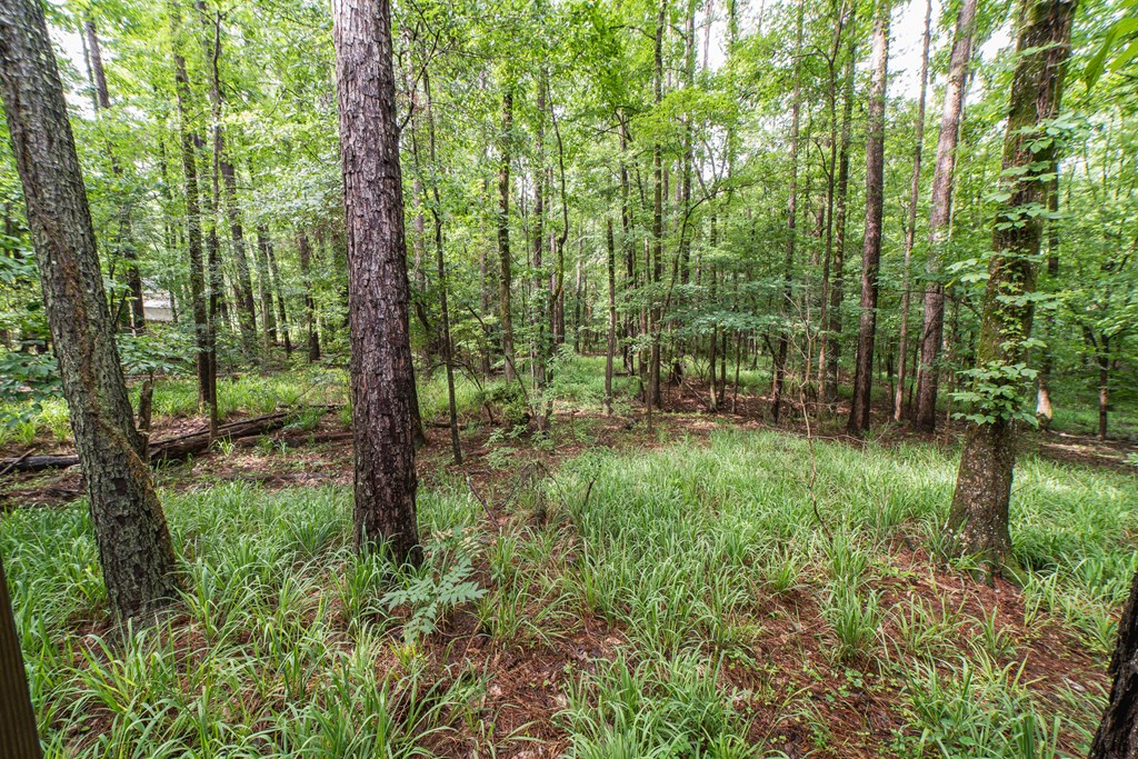 8935 A Moore Road Columbus, GA 31904 - Photo 54 of 56