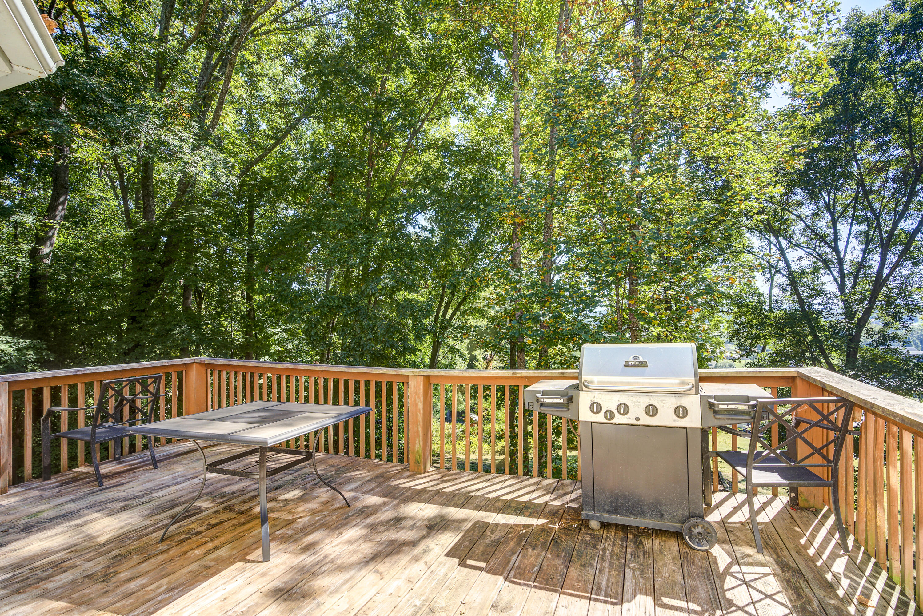 356 Webb Road Piney Flats, TN 37686 - Photo 31 of 34 Webb--30