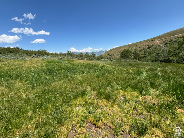 10 Stauffer Canyon Road Montpelier, ID 83254 - Photo 46 of 50 View of undeveloped land with a mountainous background