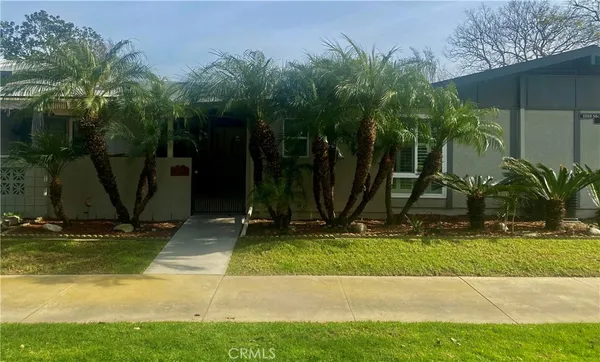 a view of a backyard with plants and palm trees