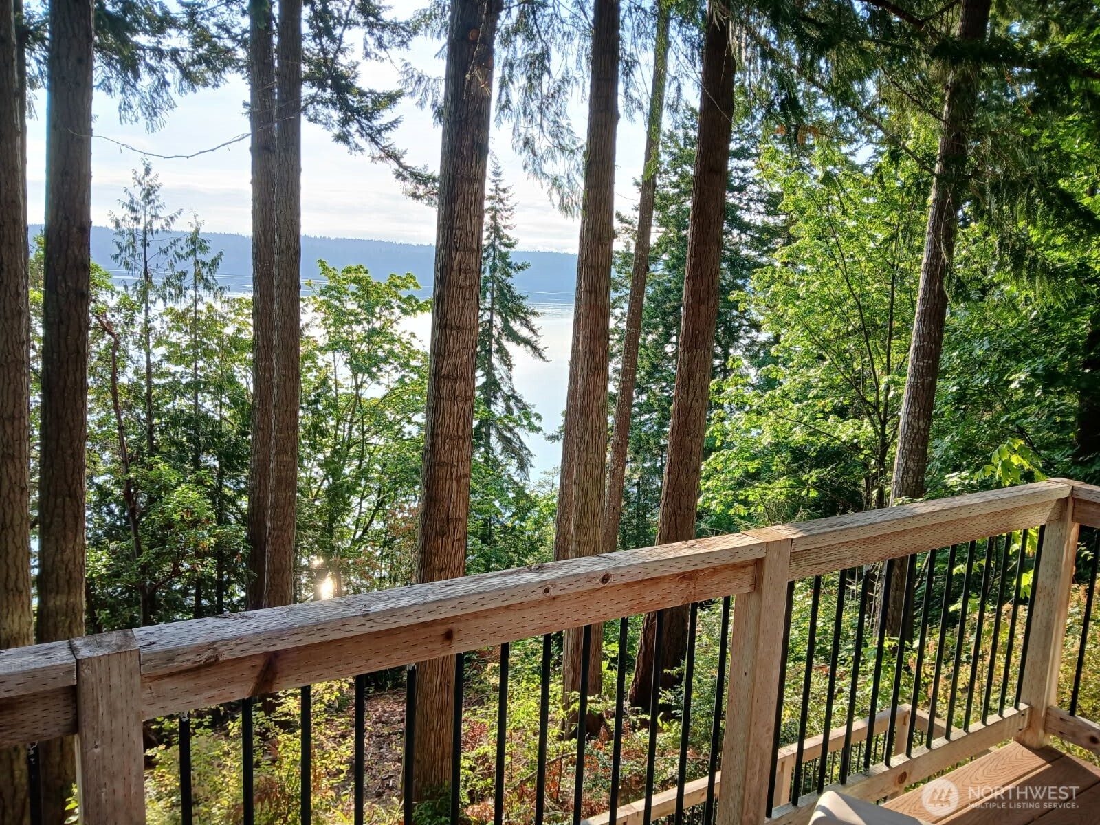 510 Carl Johnson Road Quilcene, WA 98376 - Photo 35 of 37 a view of a trees from a balcony