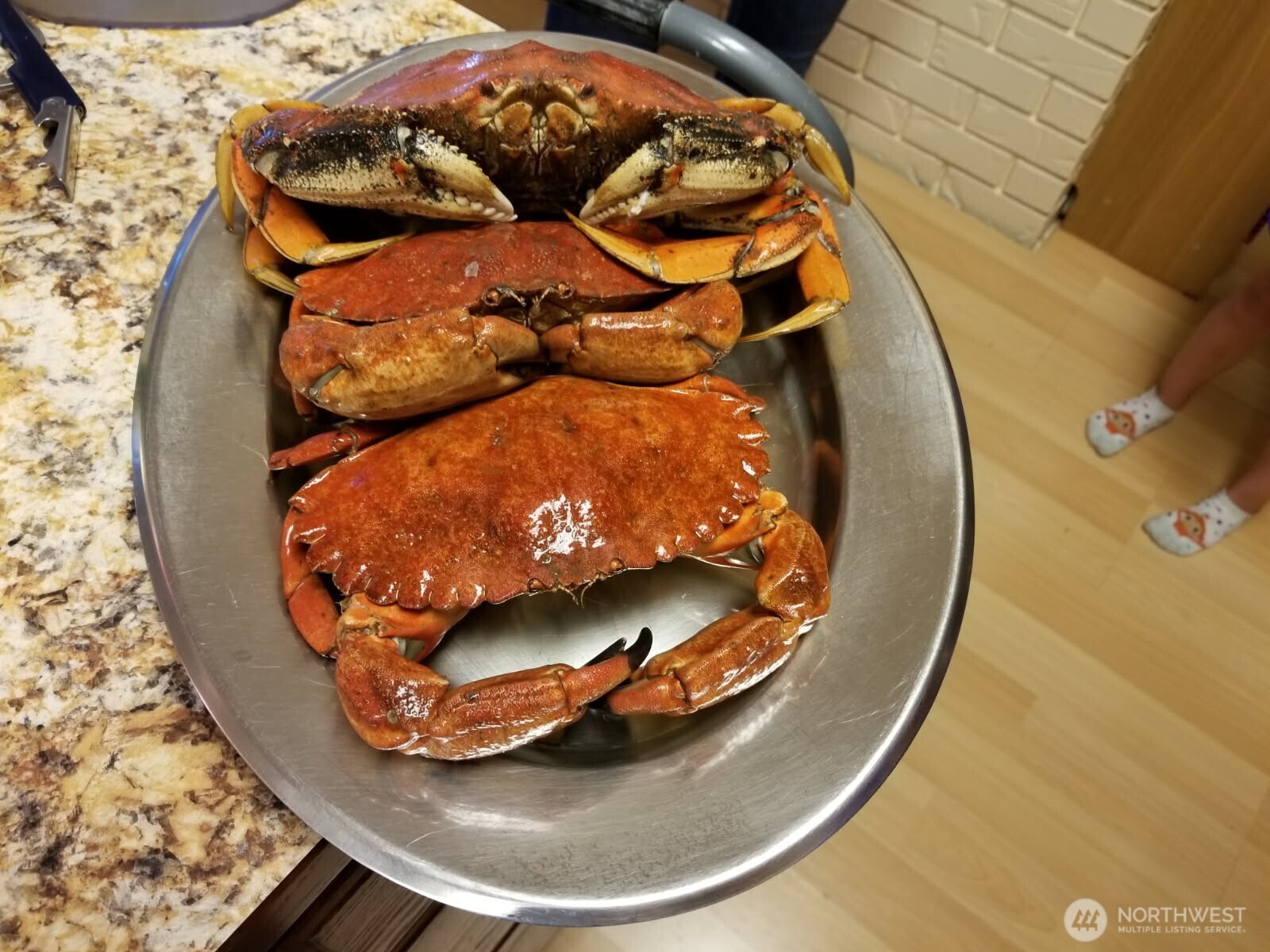 510 Carl Johnson Road Quilcene, WA 98376 - Photo 36 of 37