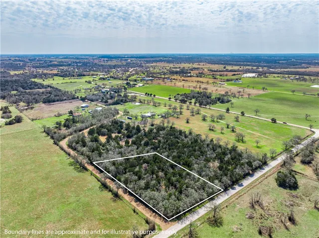 a view of a forest with trees in the background