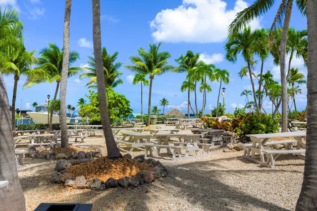 a row of palm trees and a yard with swimming pool