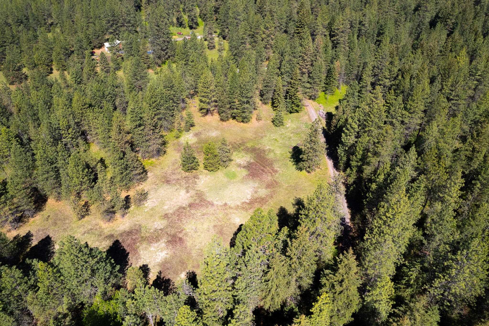 3436 West Jump Off Road Valley, WA 99181 - Photo 6 of 10