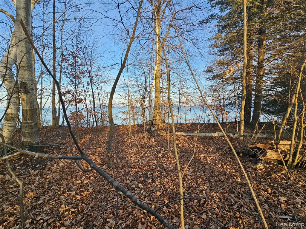 0 North Lakeshore Road Port Sanilac, MI 48469 - Photo 8 of 9