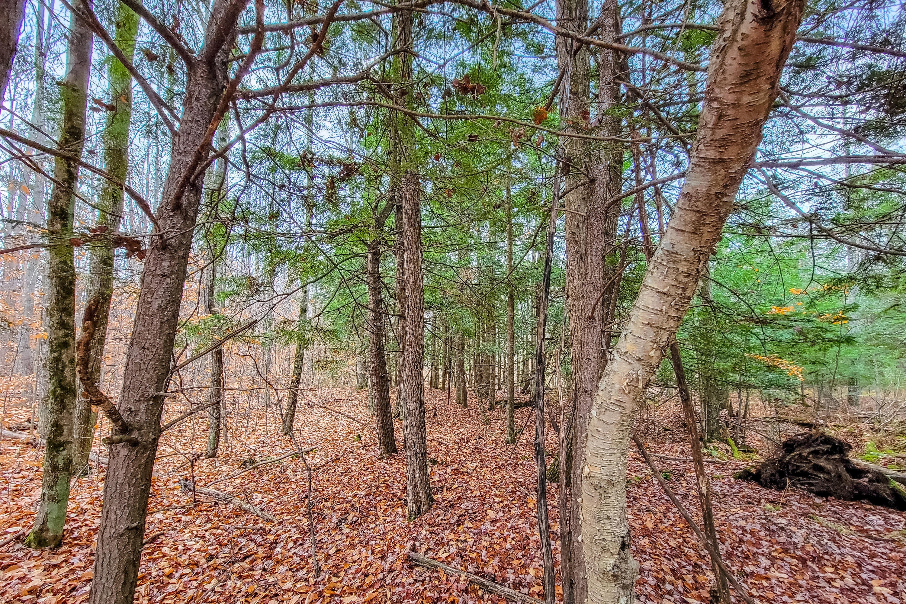 Lot 70 Andergood Road Lewiston, MI 49756 - Photo 8 of 11 Gallery Image 8