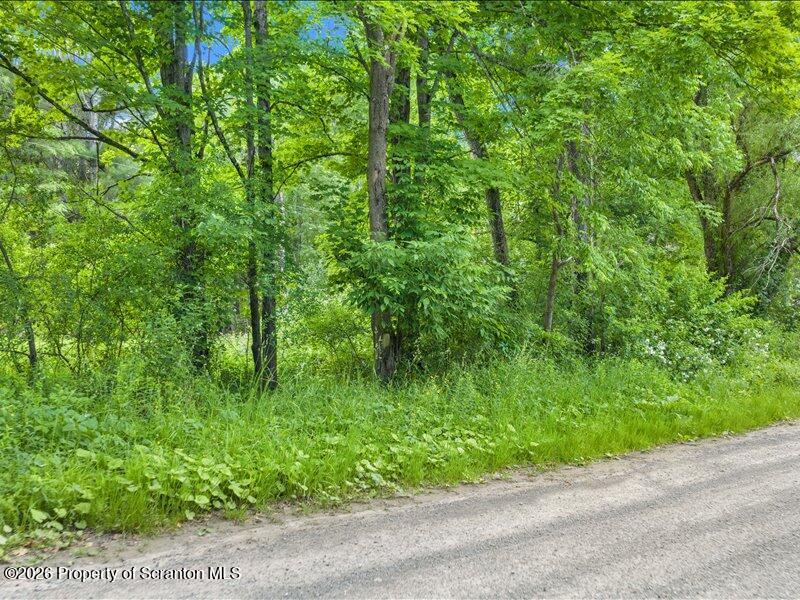 Stanley Lake Road Friendsville, PA 18818 - Photo 15 of 15 Road