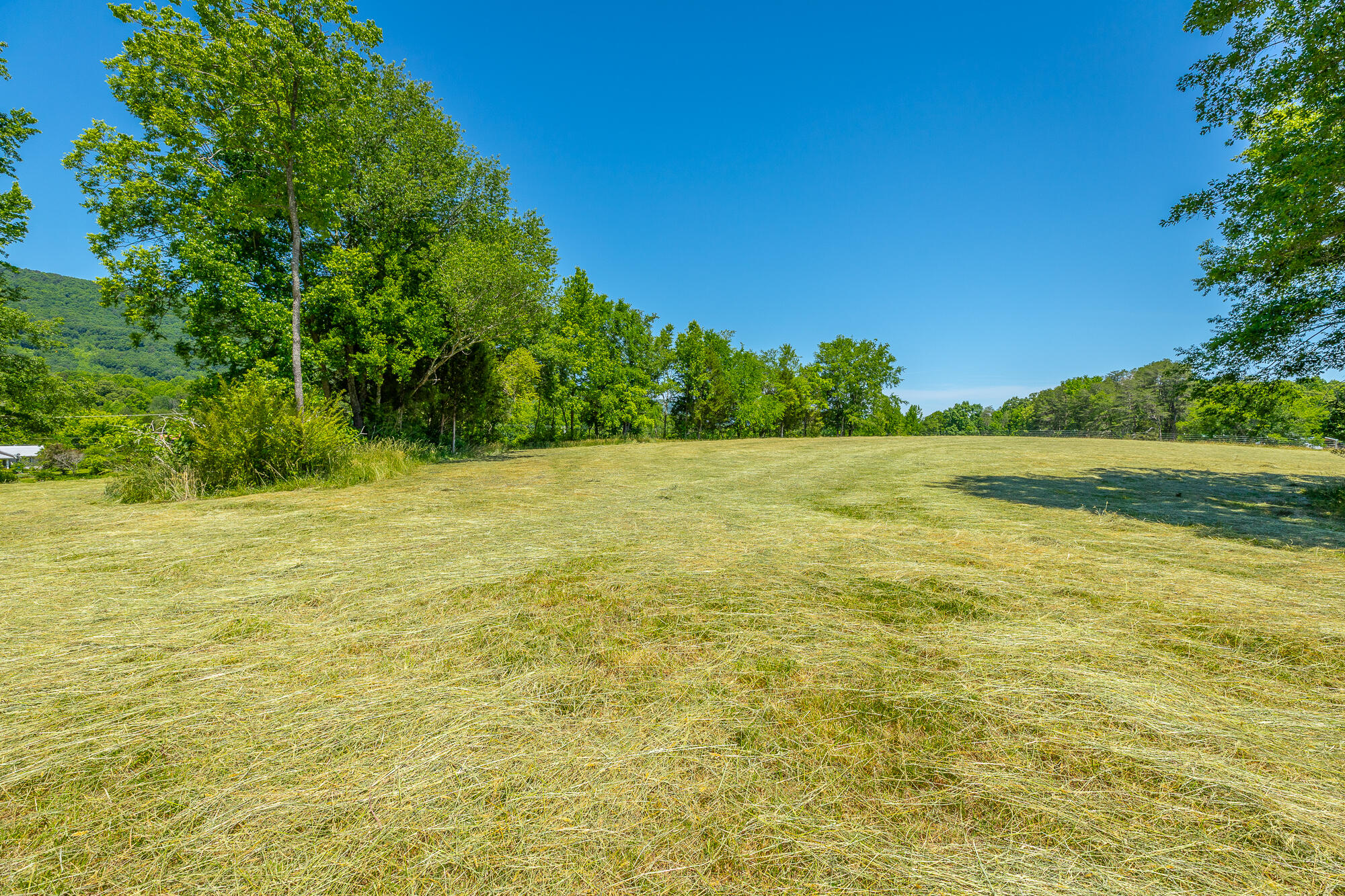 1655 West Cove Road Chickamauga, GA 30707 - Photo 38 of 62 1655 W Cove Road HD-59