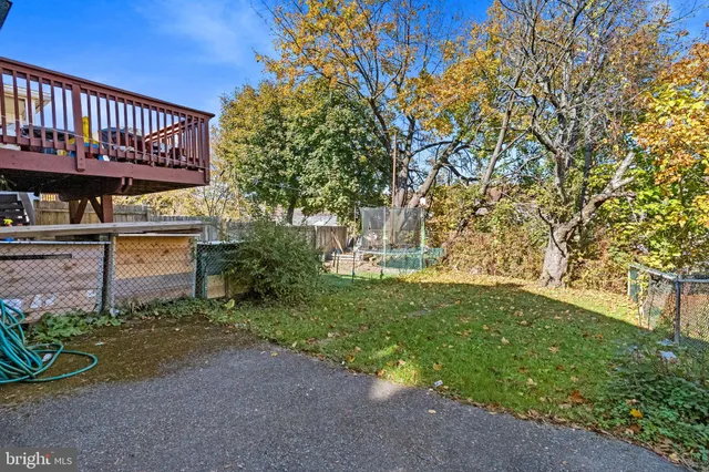 a view of a yard with plants and large trees