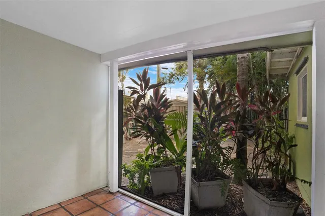 wooden floor in a room with potted plants