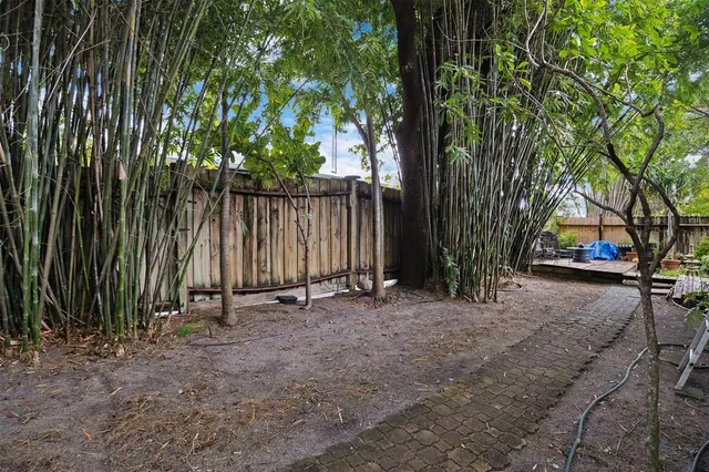a view of backyard with trees