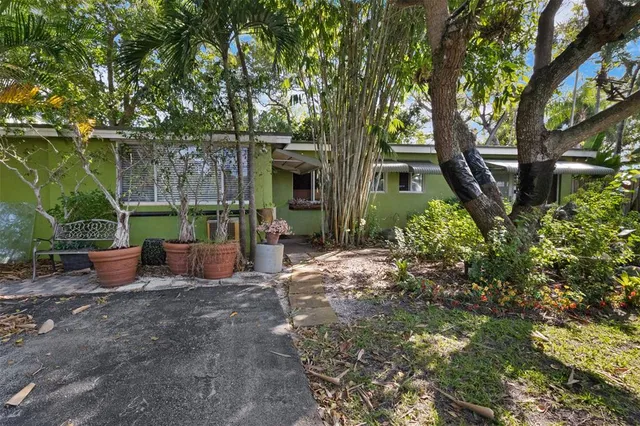 a view of a backyard with potted plants and large trees