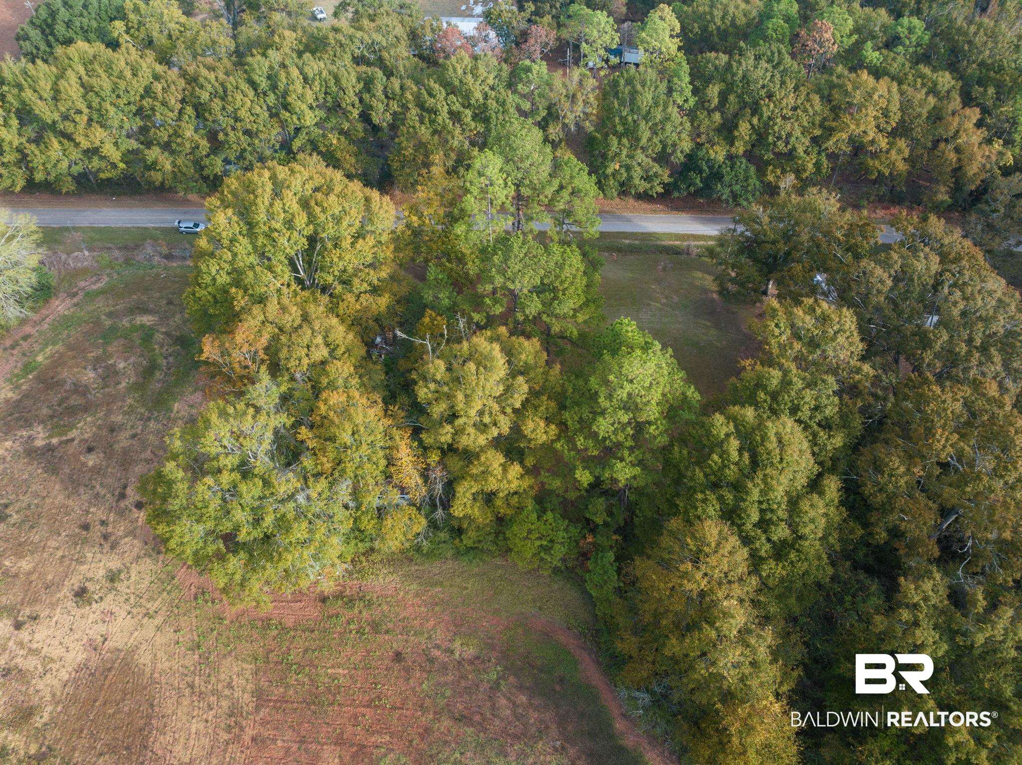 16200 Khola Stewart Road Bay Minette, AL 36507 - Photo 9 of 15 Gallery Image 9
