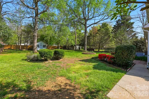 a view of a park with plants and trees