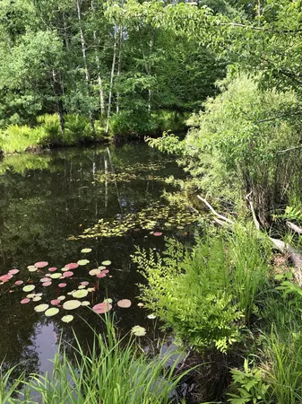 $275,000 | 0 West Deborah Ann Trail, Empire, MI 49630