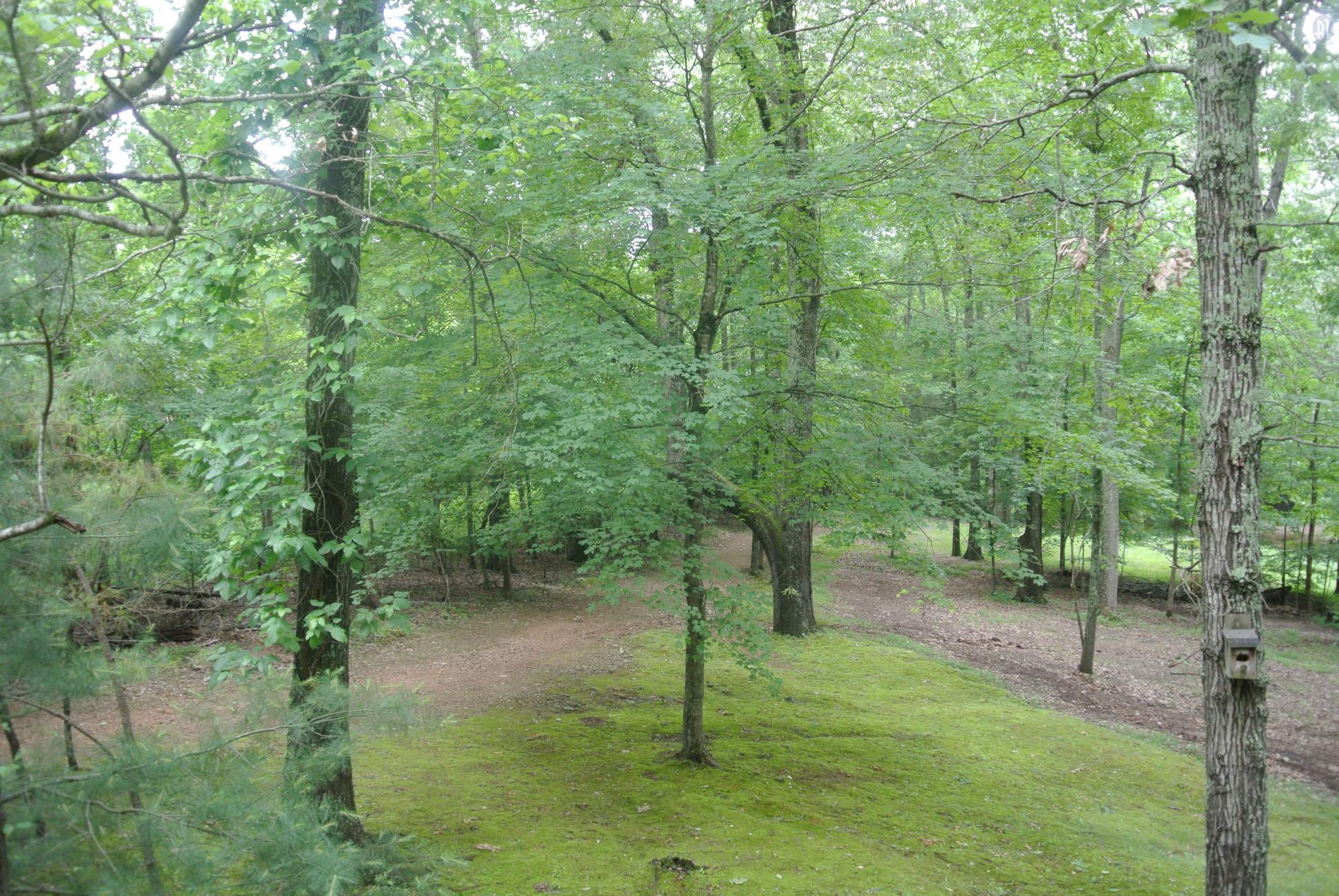 651 Salem Ridge Road Clarksville, TN 37040 - Photo 11 of 30 Gallery Image 11