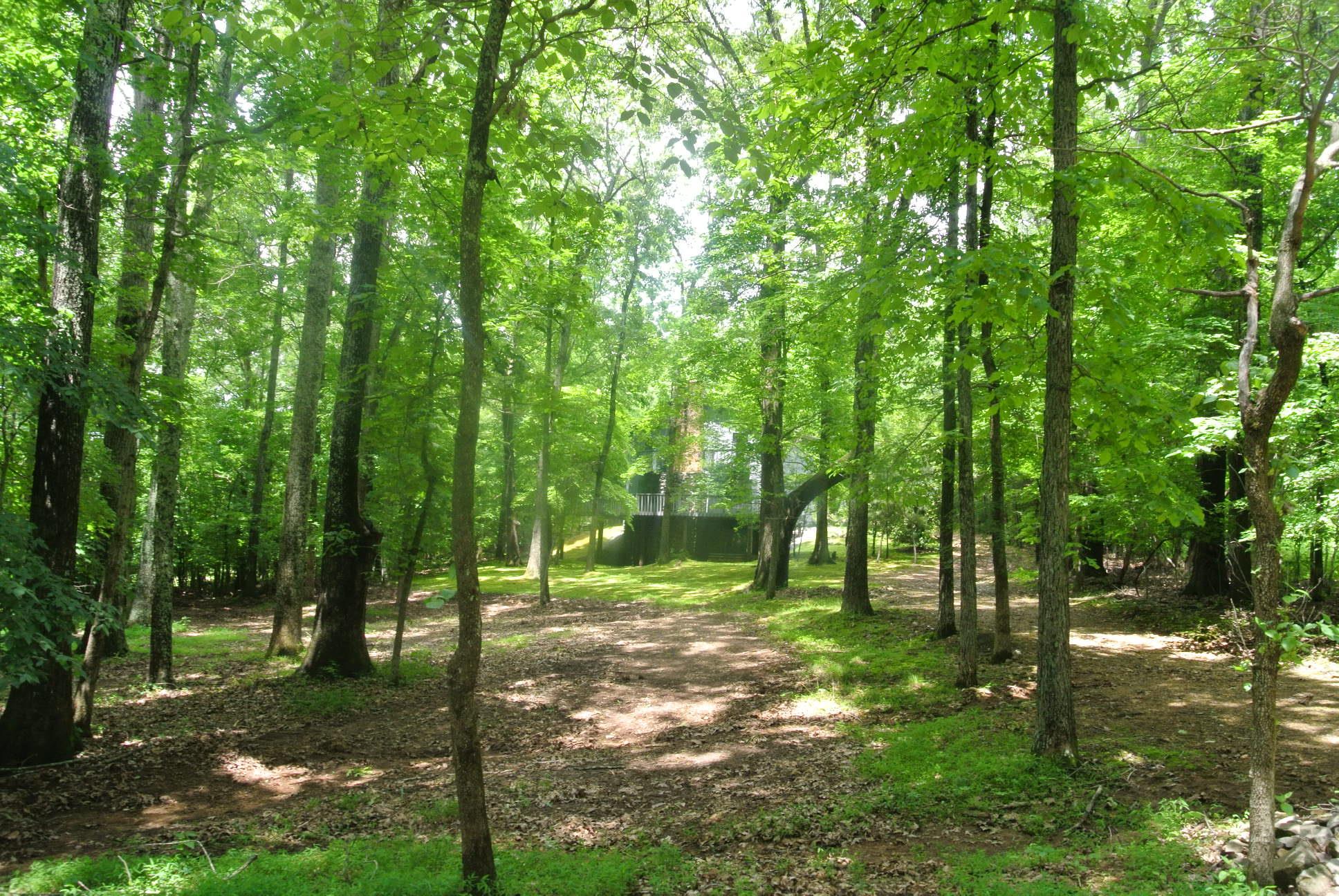 651 Salem Ridge Road Clarksville, TN 37040 - Photo 2 of 30 Gallery Image 2