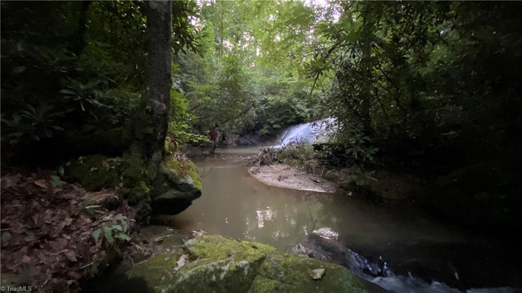 Tbd Scout Road Lenoir, NC 28645 - Photo 11 of 18