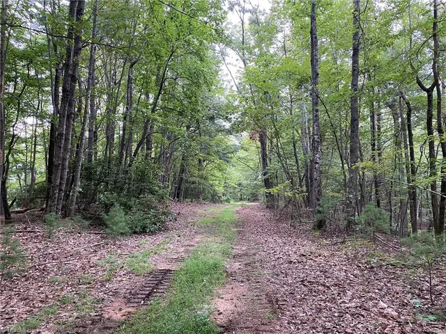 $596,750 | Tbd Scout Road, Lenoir, NC 28645