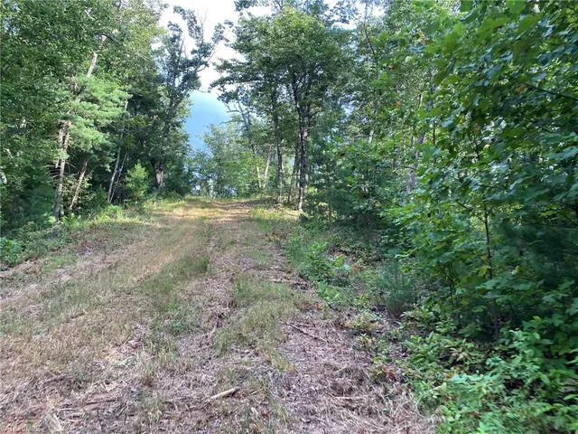 $596,750 | Tbd Scout Road, Lenoir, NC 28645