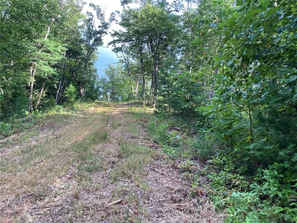 Tbd Scout Road Lenoir, NC 28645 - Photo 14 of 18