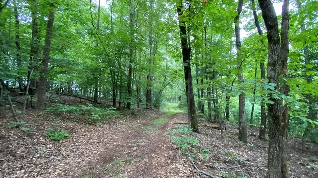 $596,750 | Tbd Scout Road, Lenoir, NC 28645