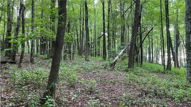 $596,750 | Tbd Scout Road, Lenoir, NC 28645