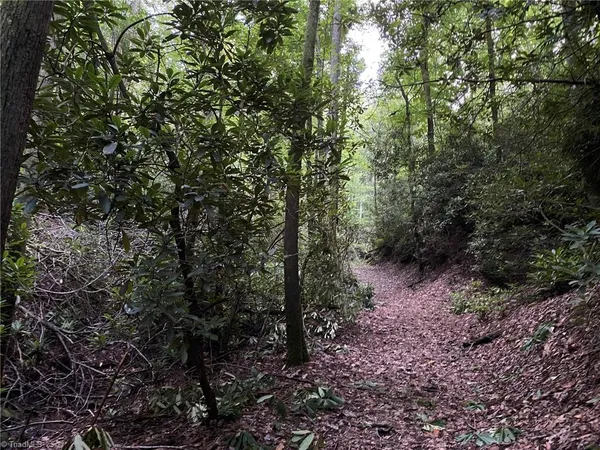 $596,750 | Tbd Scout Road, Lenoir, NC 28645