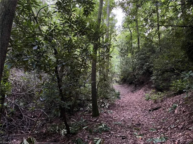 $596,750 | Tbd Scout Road, Lenoir, NC 28645