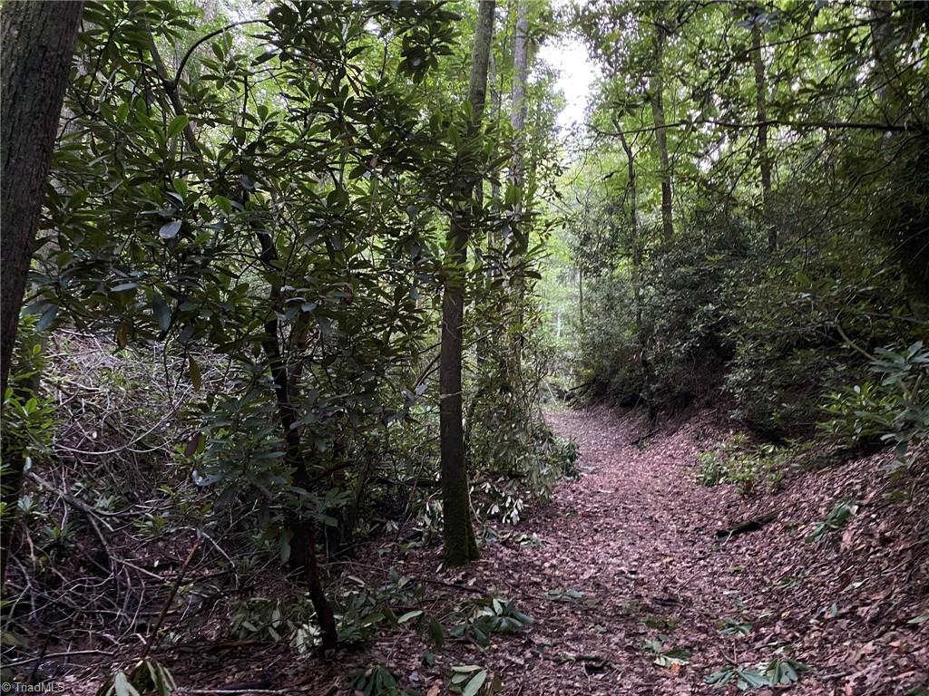 Tbd Scout Road Lenoir, NC 28645 - Photo 18 of 18