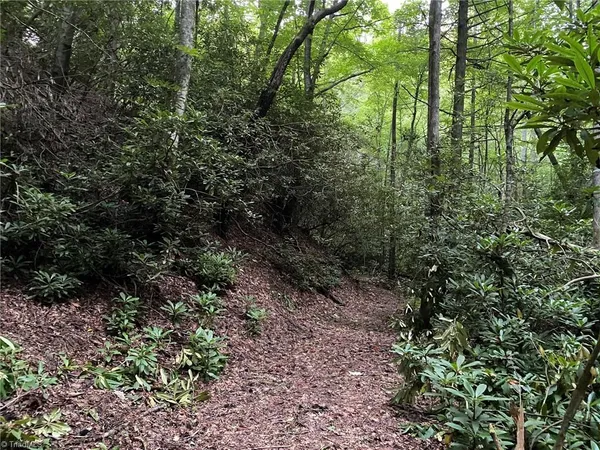 $596,750 | Tbd Scout Road, Lenoir, NC 28645
