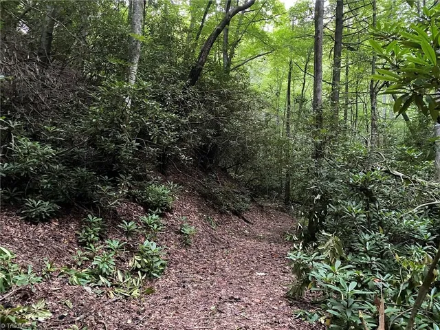 $596,750 | Tbd Scout Road, Lenoir, NC 28645