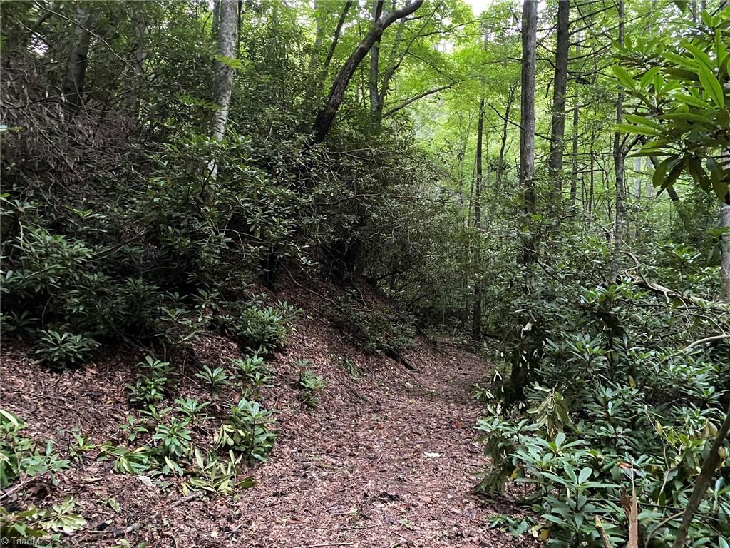 Tbd Scout Road Lenoir, NC 28645 - Photo 8 of 18