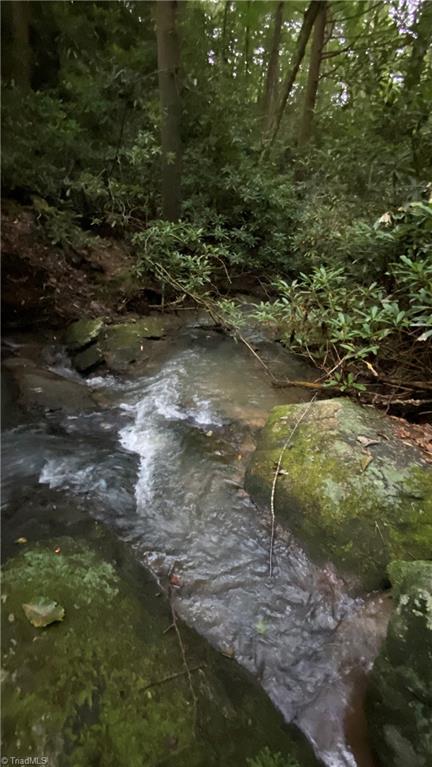 Tbd Scout Road Lenoir, NC 28645 - Photo 10 of 18