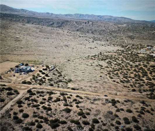 a view of a dry yard