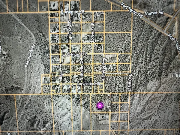 $65,000 | 0 Vac/vic Juniper Hills, Pearblossom, CA 93553