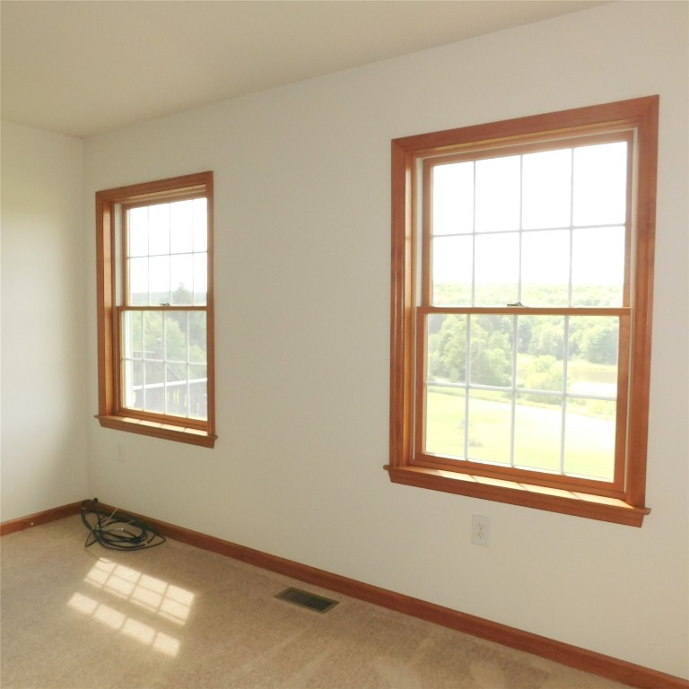 90 Pease Hill Road Whitney Point, NY 13862 - Photo 20 of 41 Gallery Image 20