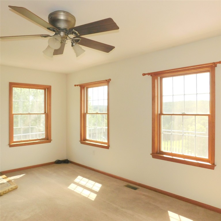 90 Pease Hill Road Whitney Point, NY 13862 - Photo 26 of 41 Gallery Image 26