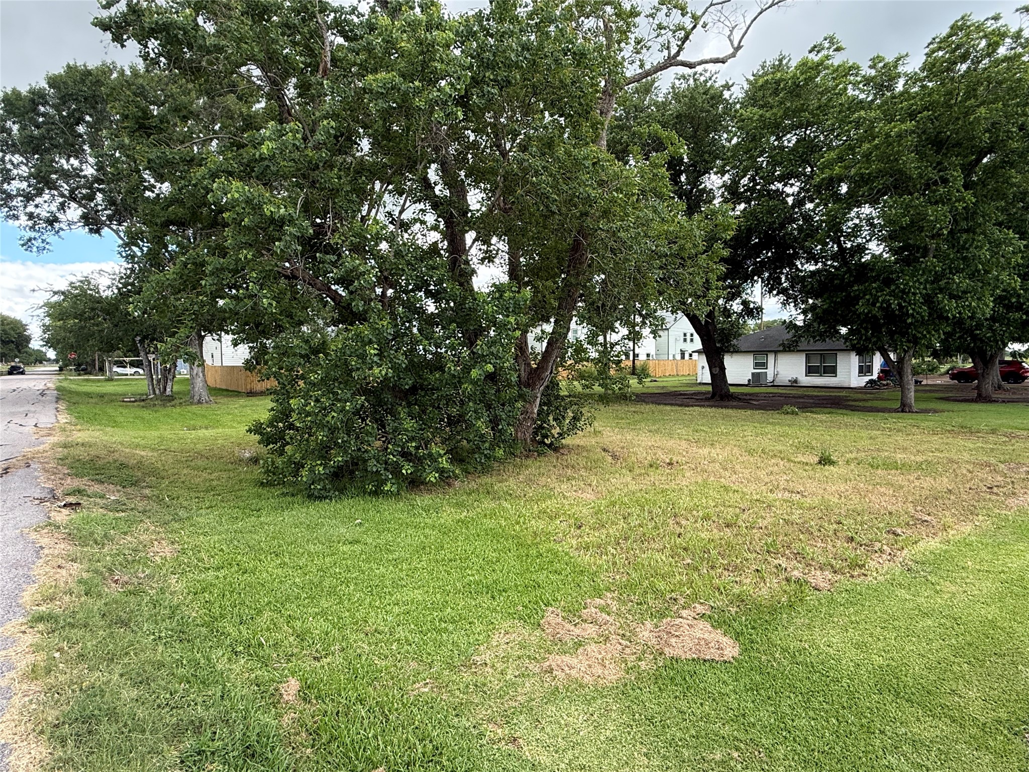 407 North 3rd Street Beasley, TX 77417 - Photo 5 of 12 a view of a tree in a yard