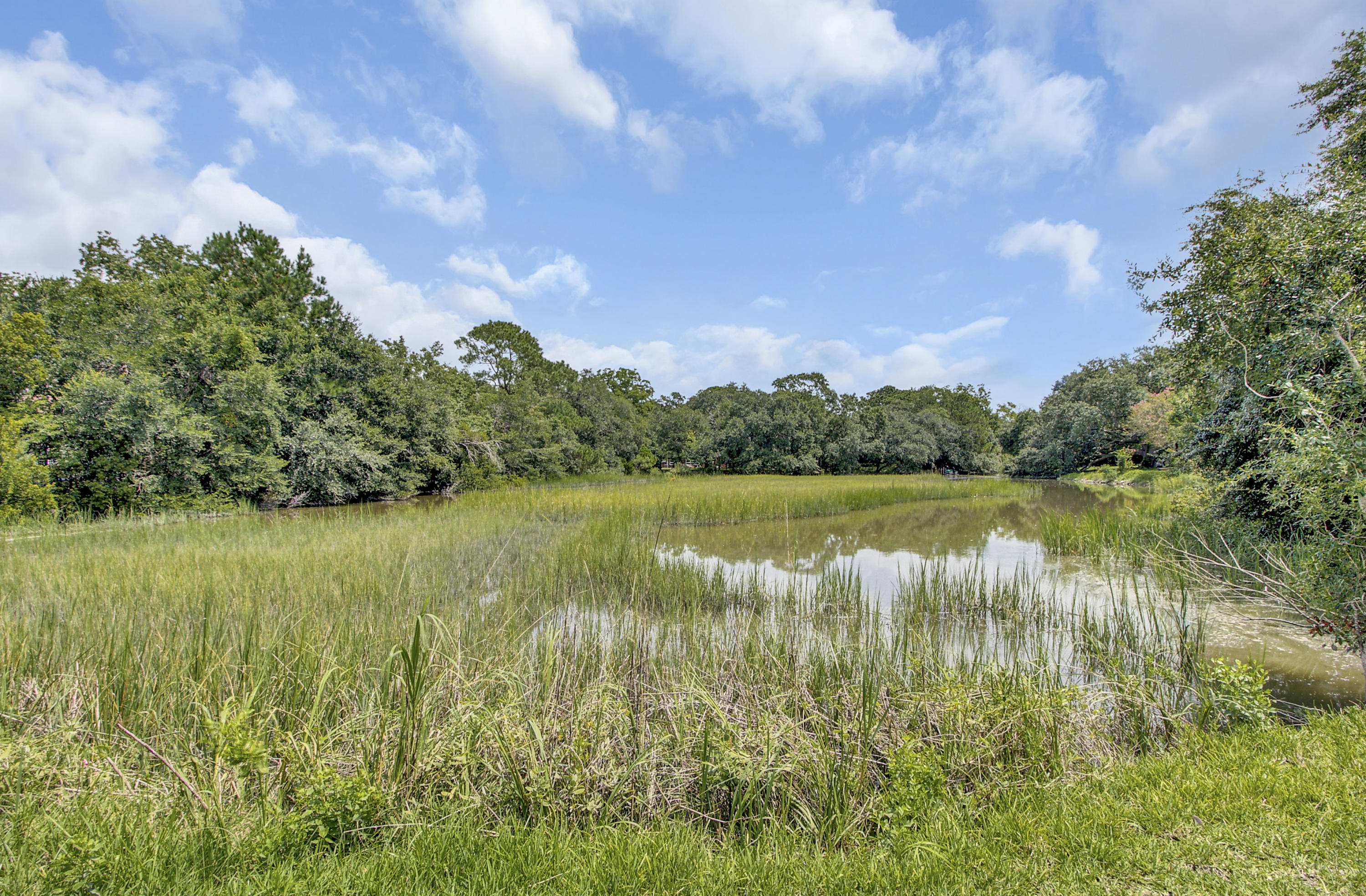 1186 Harbor View Road Charleston, SC 29412 - Photo 8 of 50 49