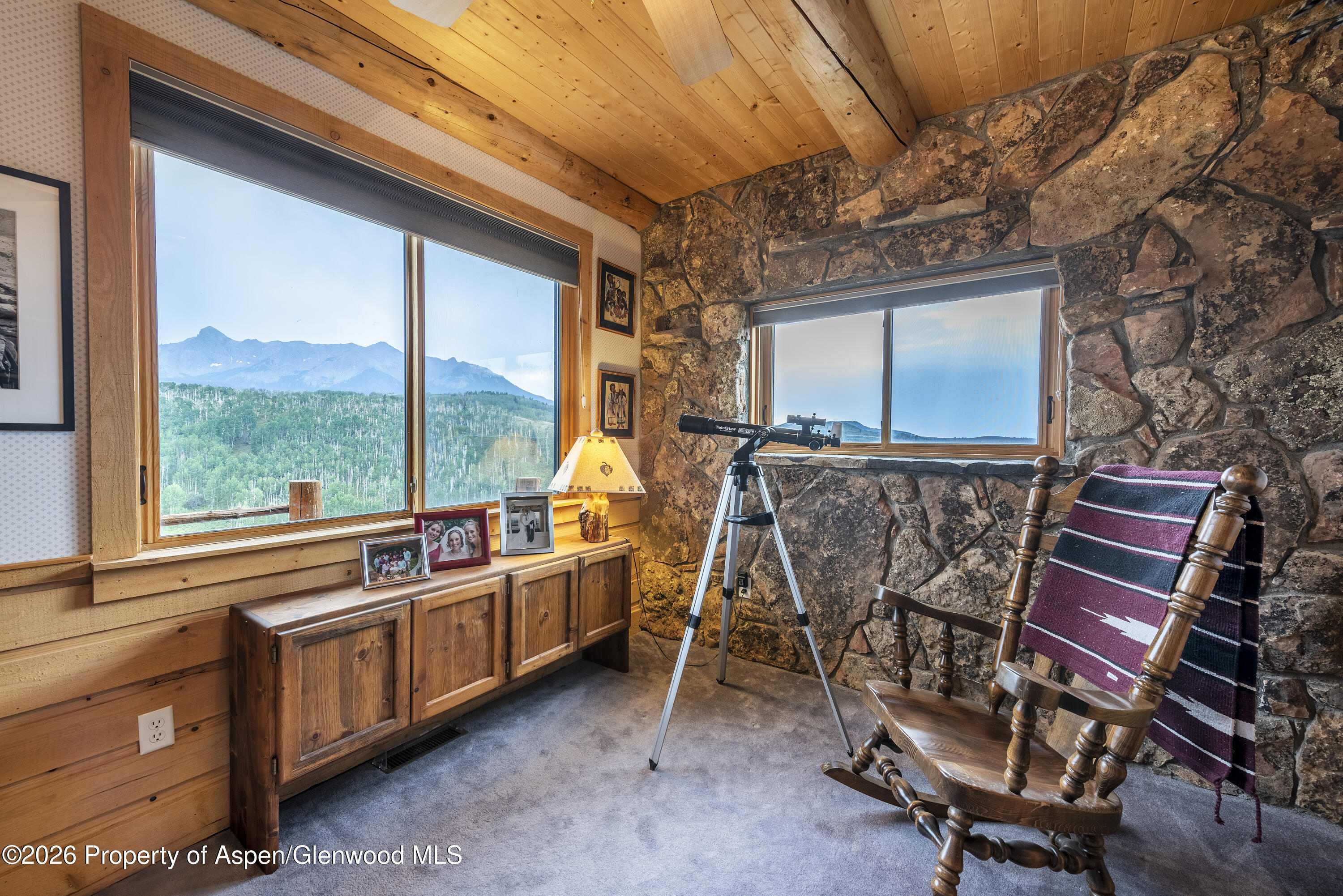 12665 Highway 62 Ridgway, CO 81432 - Photo 10 of 18 Snow Drift Ranch_PRINT_014 - Copy