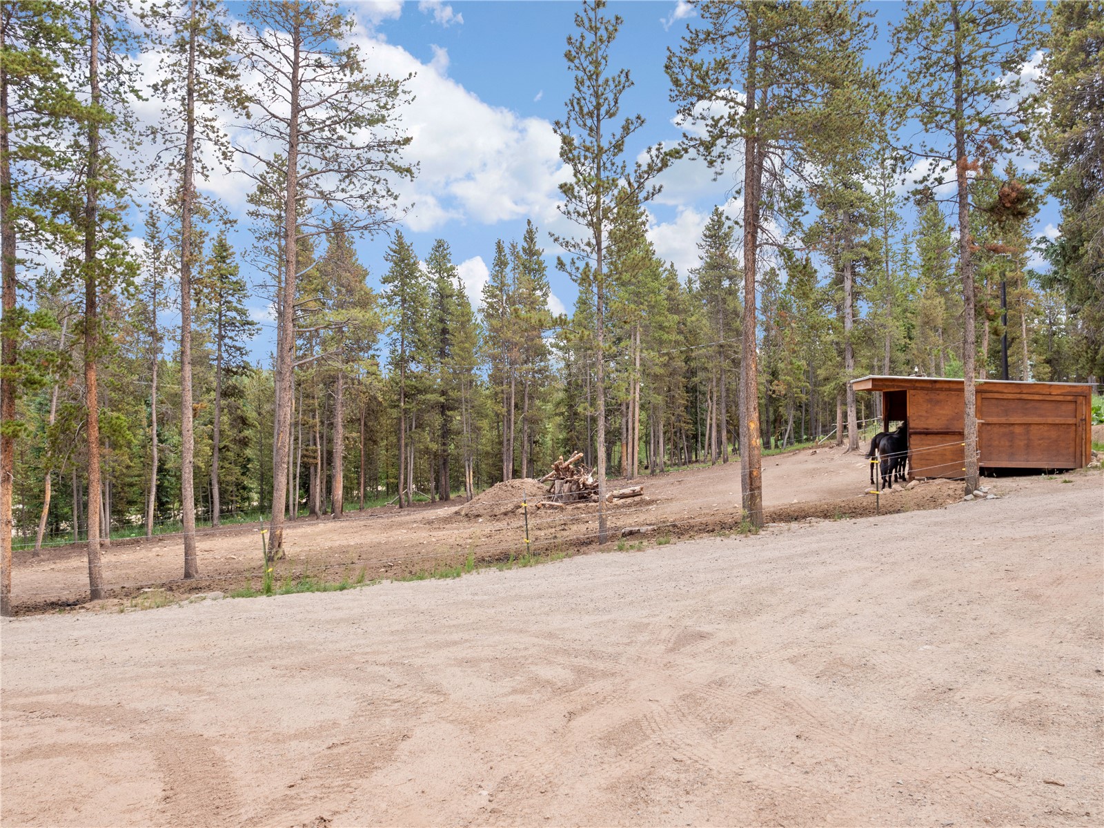 342 Skidoo Road Fairplay, CO 80440 - Photo 22 of 27 Gallery Image 22