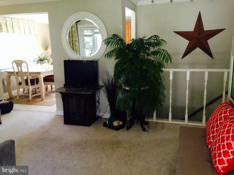 Interior (General)