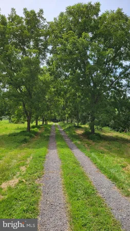 $799,850 | 15371 Sheads Mountain Road, Rixeyville, VA 22737