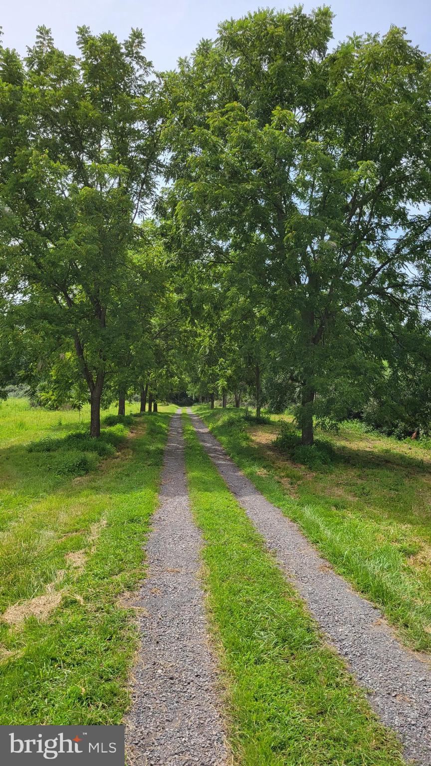 15371 Sheads Mountain Road Rixeyville, VA 22737 - Photo 39 of 39