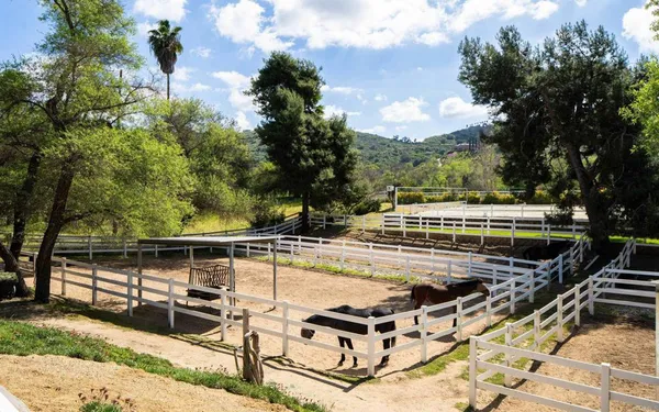 a view of a swimming pool with seating area and trees in the background