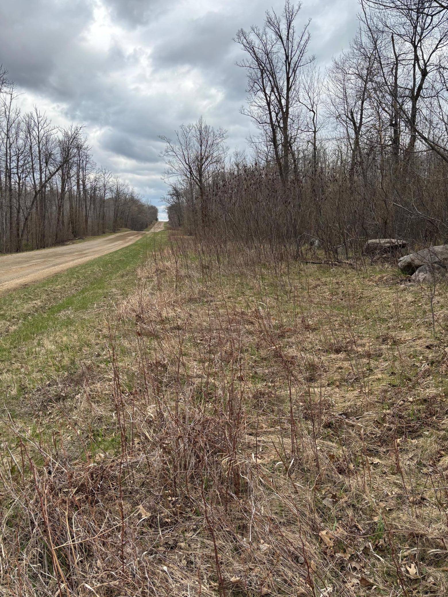 39987 Cass Line Road Laporte, MN 56461 - Photo 12 of 14