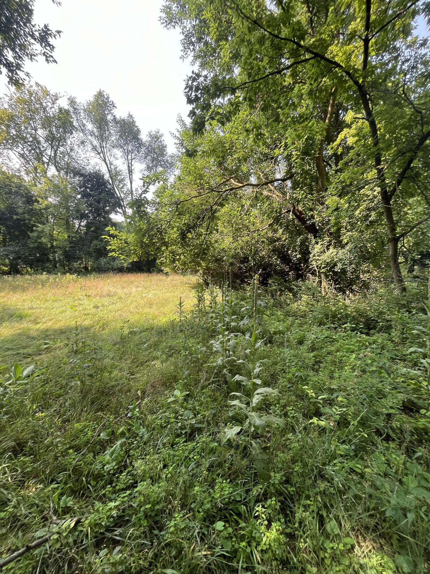 19569 Midway Road Southfield, MI 48075 - Photo 8 of 53 IMG_8125